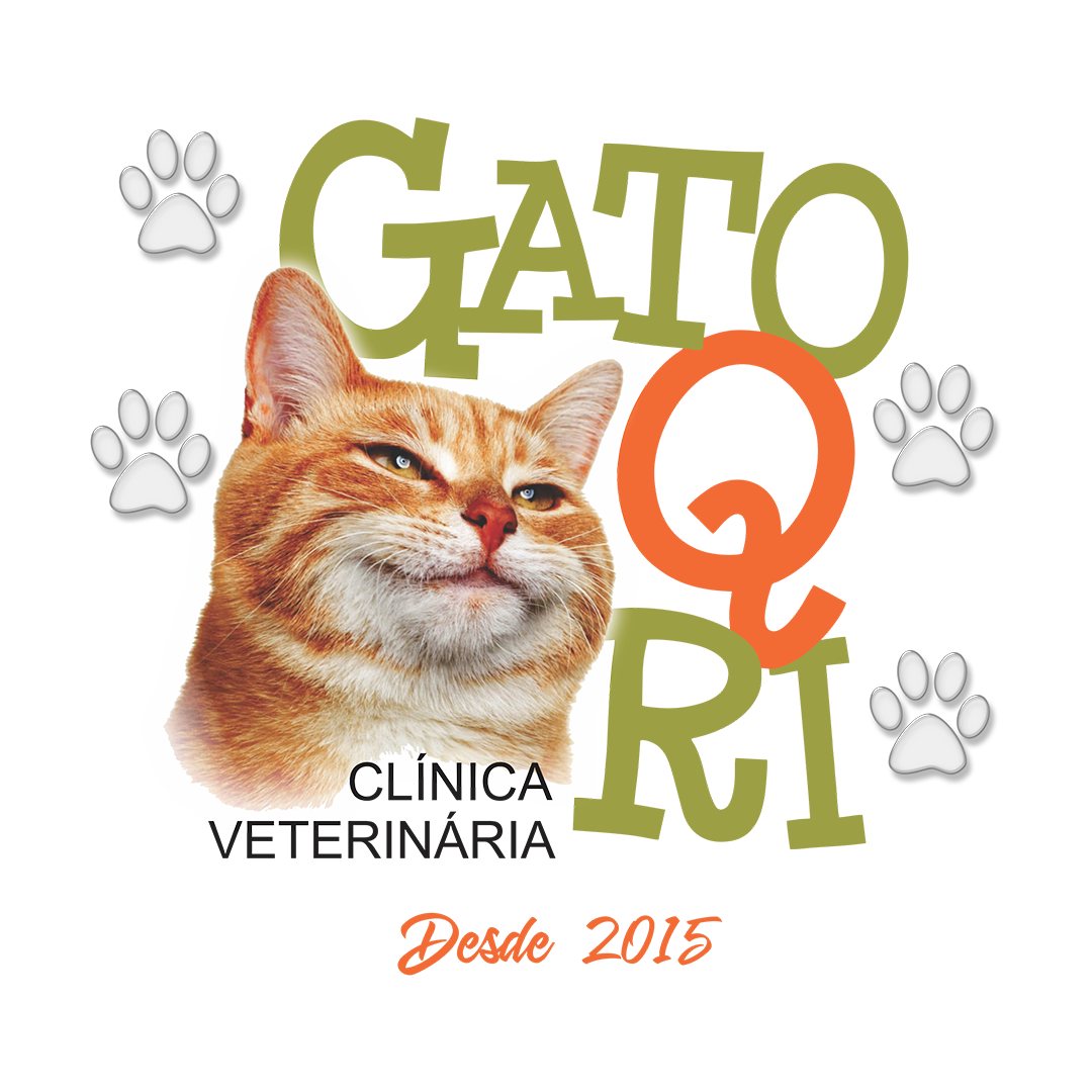 Clínica Veterinária Gato Q Ri